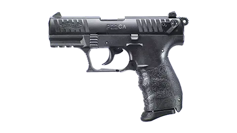 P22 3.42" 10RD 22LR California 0